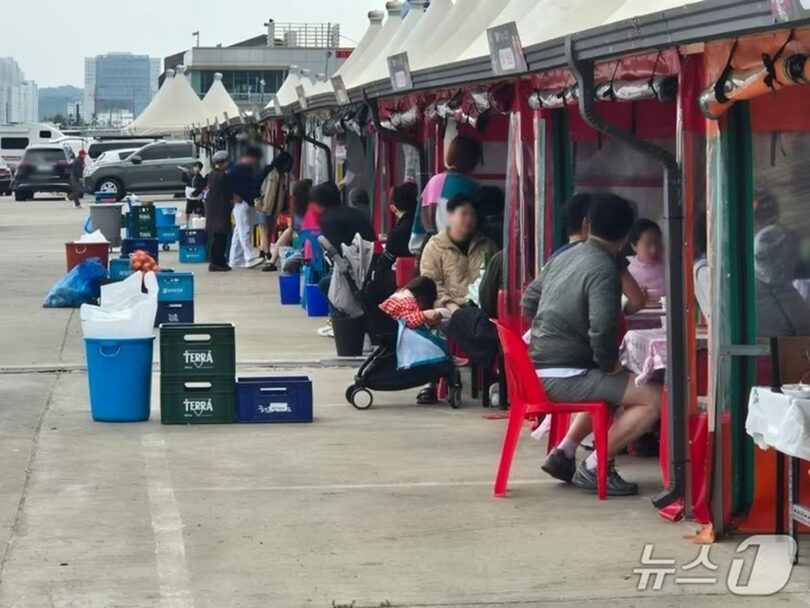 江原道束草市の東明洞のイカ屋台街(c)news1