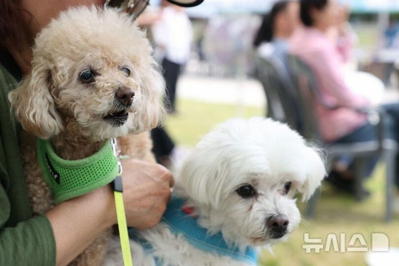 写真は記事の内容とは関係ありません(c)NEWSIS