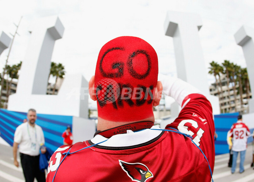 観戦を楽しむファン、NFL第43回スーパーボウル