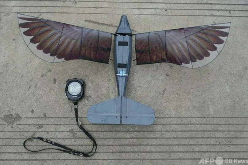 中国の大学が開発した生体模倣航空機 航続時間が世界記録更新