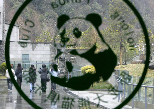 中国・四川省南西部に世界最大のパンダ飼育センター建設へ 写真4