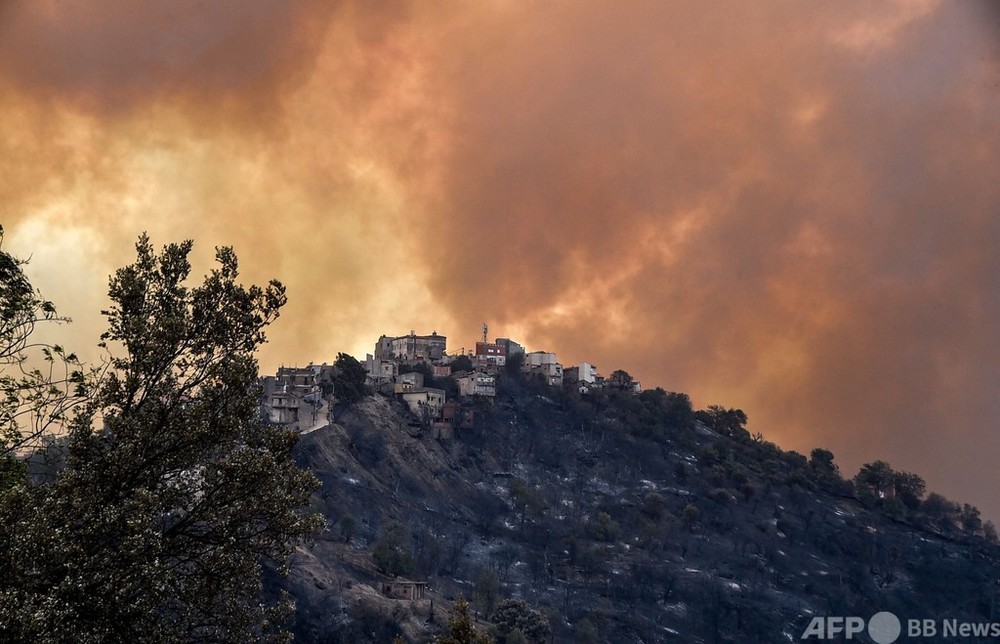アルジェリアで山火事、少なくとも42人死亡 放火も