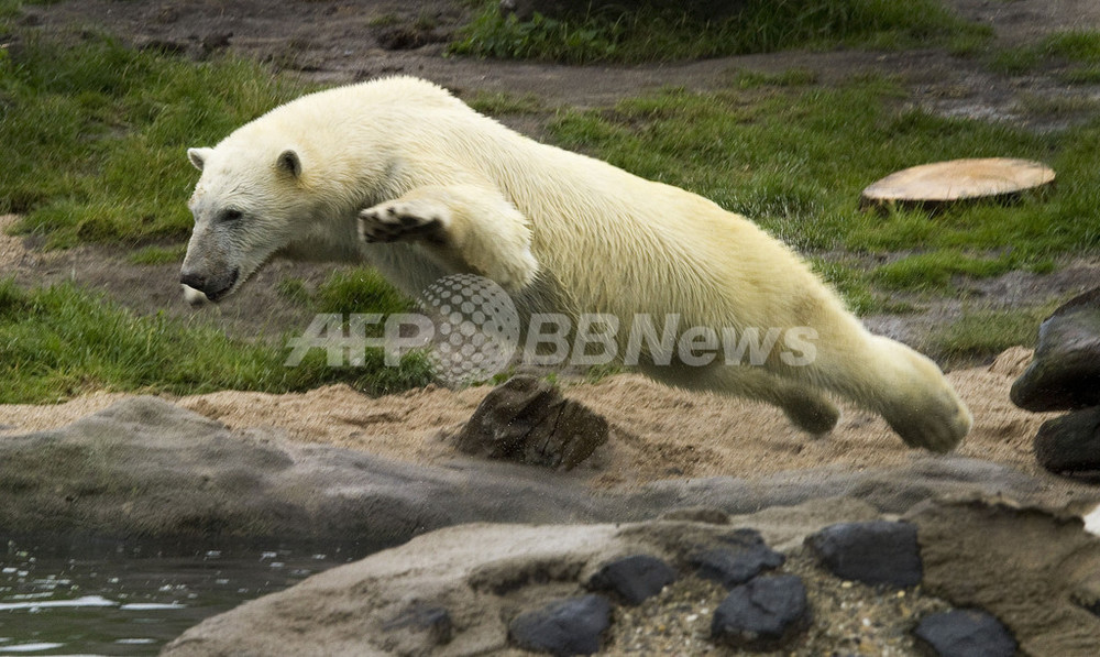 img_9058159b34cf9aeb6f29b77630