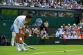 テニス、ウィンブルドン選手権、男子シングルス1回戦。試合中に飛んできた小鳥を追い払うノバク・ジョコビッチ（2015年6月29日撮影）。(c)AFP/GLYN KIRK