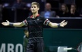 男子テニス、ABNアムロ世界テニストーナメント、シングルス準決勝。勝利を喜ぶマーティン・クリザン（2016年2月13日撮影）。(c)AFP/ANP/Koen Suyk