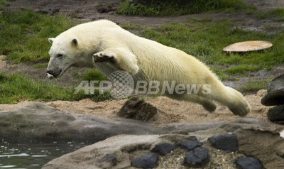 img_9058159b34cf9aeb6f29b77630