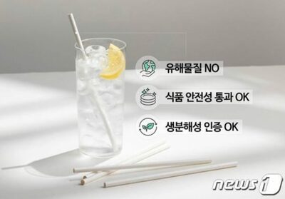 紙ストローは「グリーンウォッシング」？…共同で反論に乗り出した韓国製紙業界