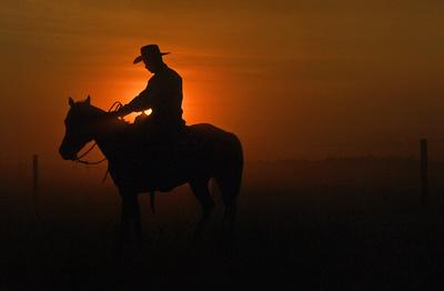 【今日の1枚】落日、人も家畜も家路へ