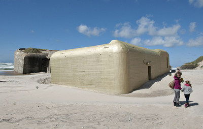 白いビーチに輝く巨大な「金歯」現る!?