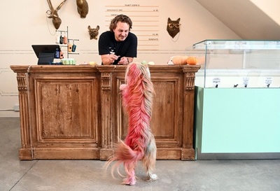 グルメな愛犬も満足！ 米サンフランシスコの犬専用レストラン