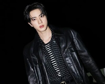 BTSジン、アイドルピック「12月記念日サポート」投票で1位に