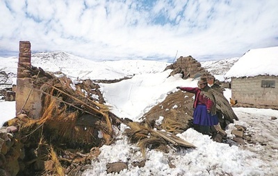 南米で10年ぶり大雪、8人死亡 家畜4000頭死ぬ
