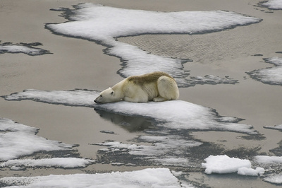 23年は観測史上最も暑い年、今年はさらに暑くなる可能性高い WMO