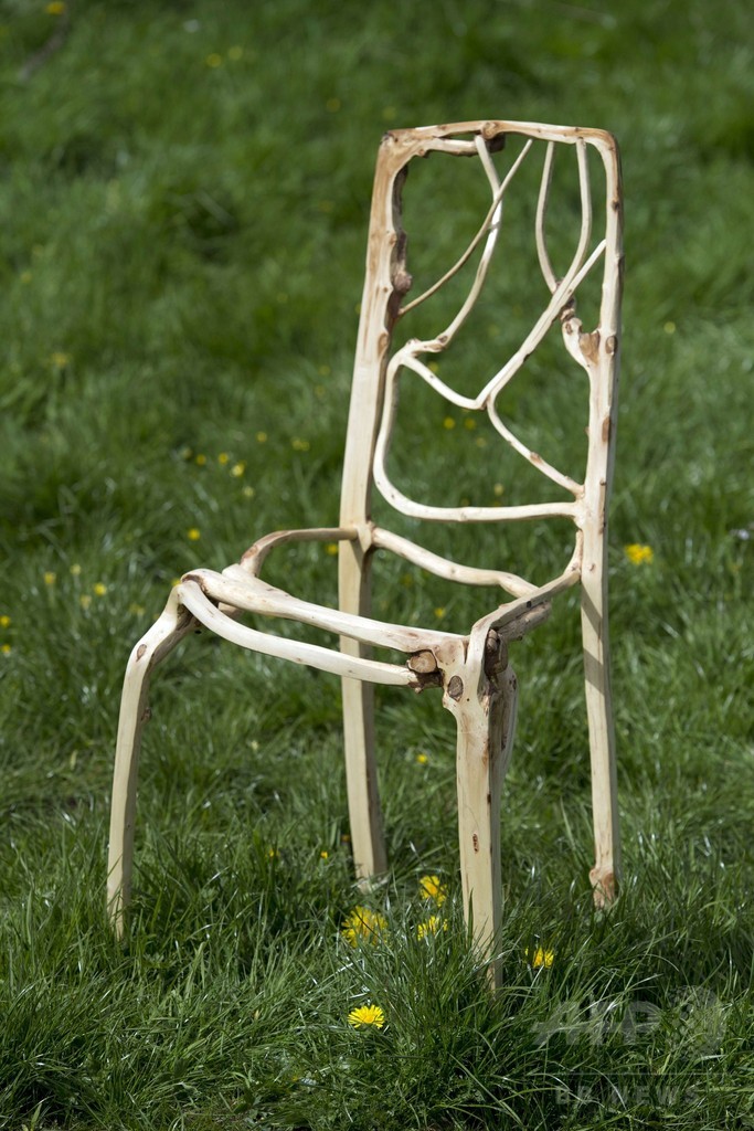 椅子が生える？ 家具を「育てる」英国人アーティスト