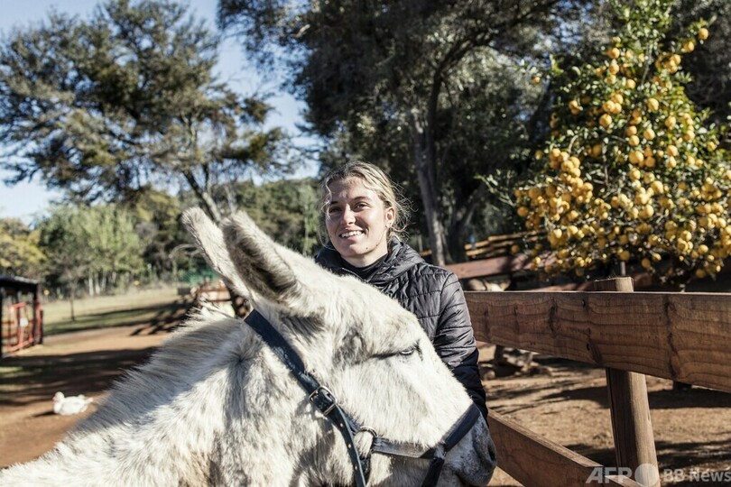中国伝統薬でロバ皮需要増 アフリカで生息数激減