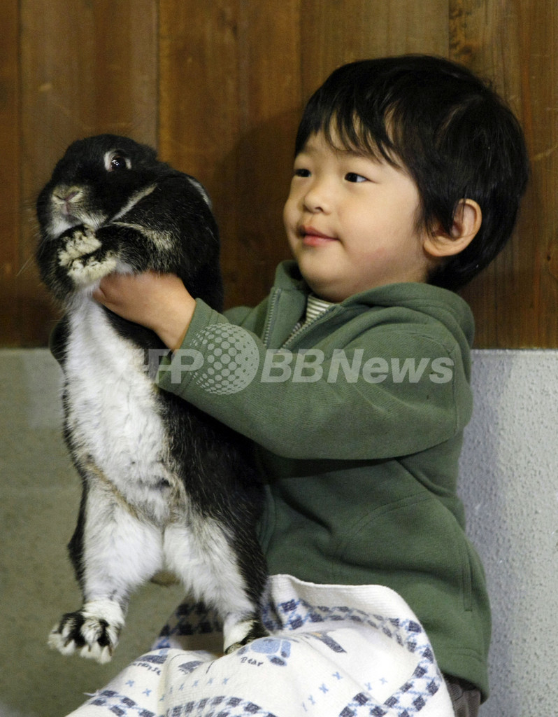 悠仁さま 上野動物園で小動物たちとふれあい 写真5枚 国際ニュース Afpbb News