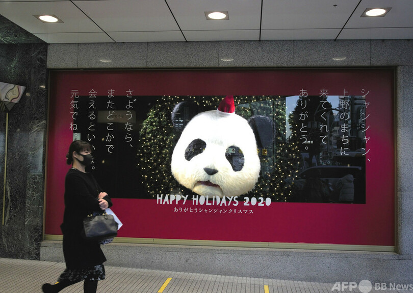 上野動物園 シャンシャン の返還延期 中国の パンダ外交 写真1枚 国際ニュース Afpbb News