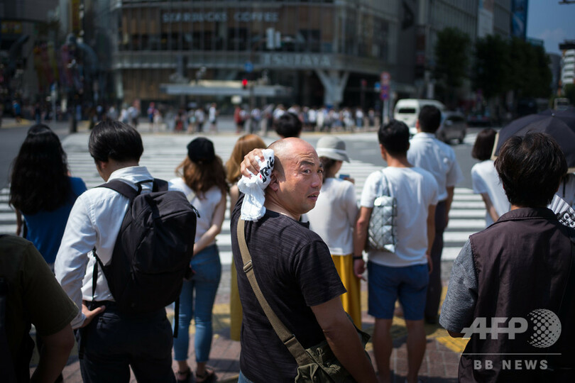 北極圏から日本まで覆った熱波、今後はいっそう頻繁に 専門家が警告