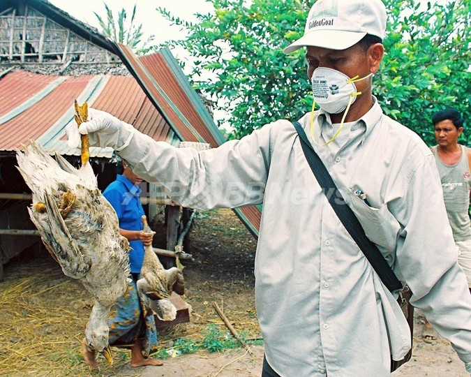 カンボジアで鳥インフルで35歳男性が死亡、今年8人目 カンボジアで鳥インフルで35歳男性が死亡、今年8人目