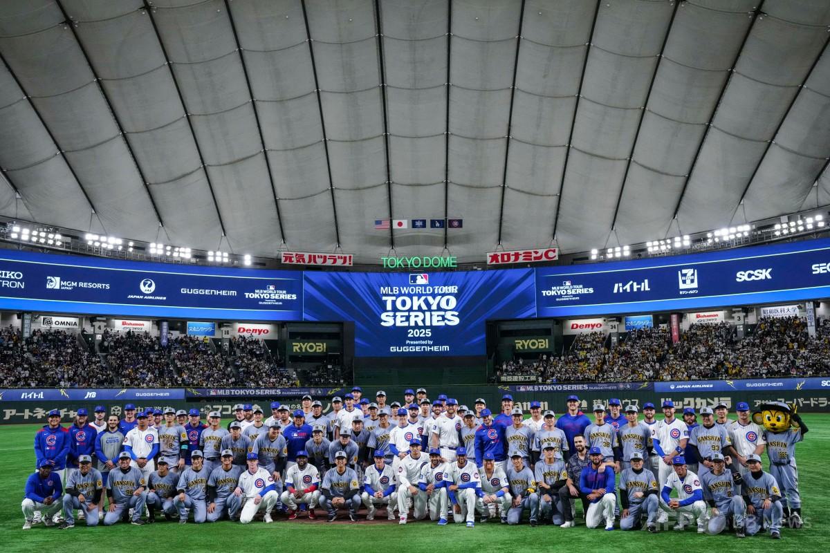 阪神がカブスに完封勝利 MLB東京シリーズ 写真9枚 国際ニュース：AFPBB