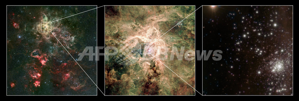 観測史上最大の巨星を発見、元は太陽の300倍以上 観測史上最大の巨星を発見、元は太陽の300倍以上