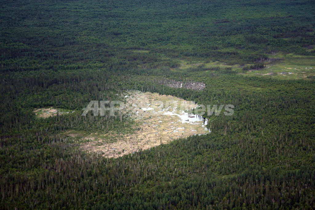 宇宙からも見えます 世界最大のビーバー ダム発見 カナダ 写真1枚 国際ニュース Afpbb News