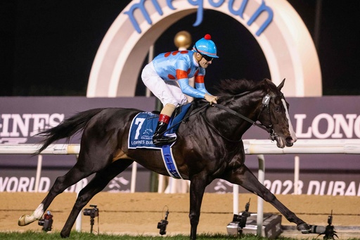 ウシュバテソーロがドバイWC優勝、日本馬3勝 ドバイ国際競走 写真11枚