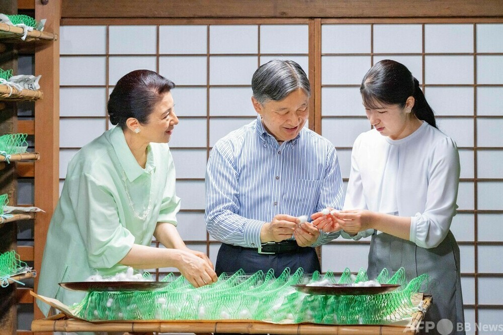 天皇、皇后両陛下 ご成婚30年 写真4枚 国際ニュース：AFPBB News