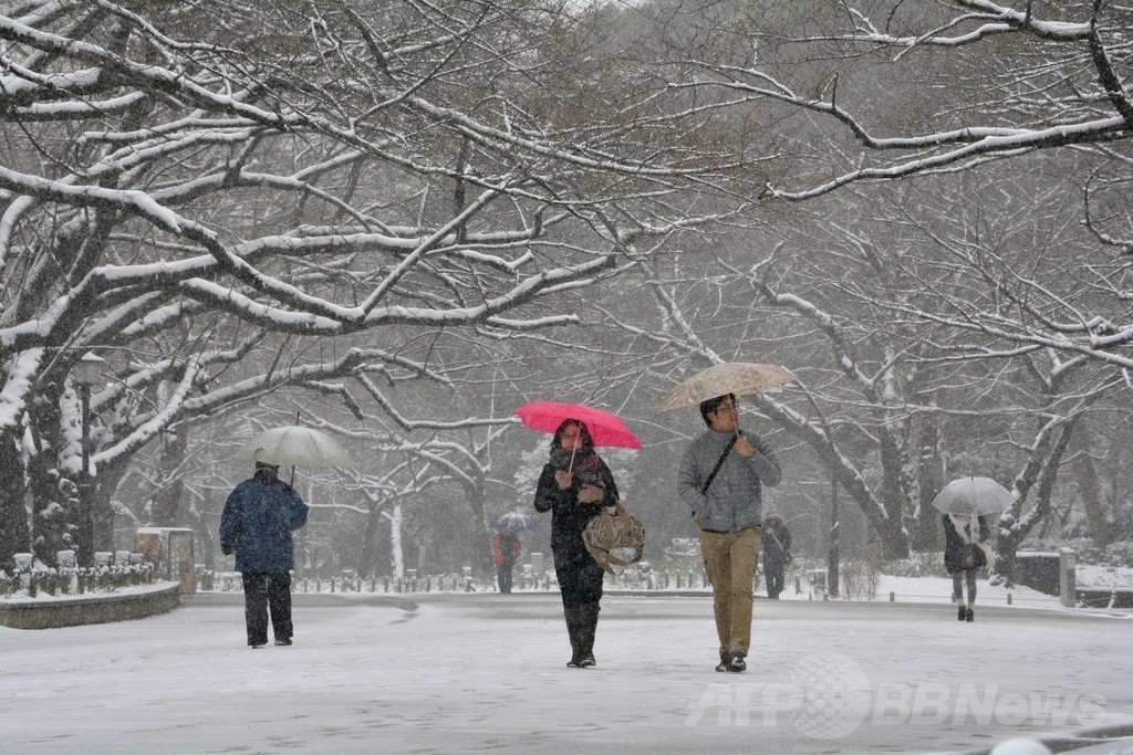東京などに大雪警報、23区では13年ぶり 各地で交通の乱れ