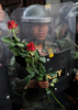 タイの首都バンコク（Bangkok）で、タイ軍とタクシン・シナワット（Thaksin Shinawatra）元首相派のデモ隊の衝突前、デモの参加者から配られたバラの花を手に警備にあたる兵士（2009年4月13日撮影）。(c)AFP/Christophe ARCHAMBAULT