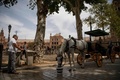 スペイン・セビリアで、馬を涼ませる人（2022年6月12日撮影）。(c)JORGE GUERRERO / AFP