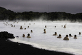 写真はアイスランドの首都レイキャビク（Reykjavik）郊外にある温泉｢ブルーラグーン（Blue Lagoon）｣を楽しむ観光客。ブルーラグーンは水の色が青と緑であることから、この名で呼ばれている。健康効果もうたわれている（2009年4月26日撮影）。(c)AFP/OLIVIER MORIN