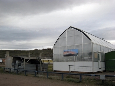 北極圏の永久凍土の地で野菜栽培