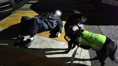 「ワンワン！人が倒れています！」…韓国で活躍！地域を守る「ペット犬」パトロール隊