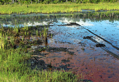 ペルー先住民が原油採掘場を襲撃、3人死亡 汚染や政府のコロナ対策に不満