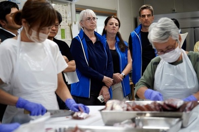 IAEA experts inspect sample preparation of Fukushima fish