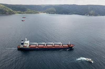 ウクライナ穀物輸出第1便で契約キャンセル 新たな買い手探す