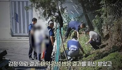 ソウルの路地裏花壇でケシ600株栽培…住民を摘発