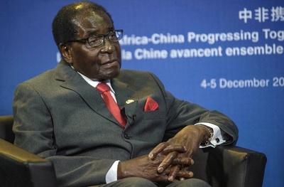 ジンバブエ大統領、アフリカ連合に牛300頭寄付 国内は凶作