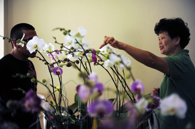 開花のピーク迎えたラン、エルサルバドルで展示会