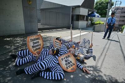 話題の子ザル「パンチ」の扱い、動物愛護団体が非難