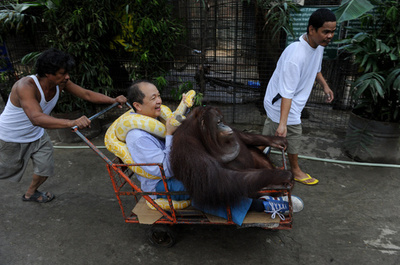 自ら動物愛護を率先、ニシキヘビとも仲良し フィリピン
