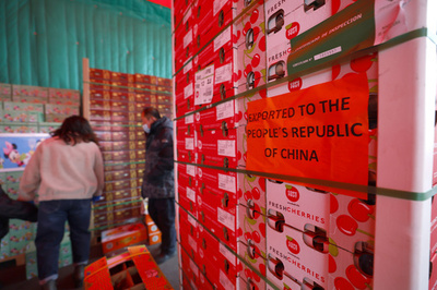 輸入フルーツでカラフルになった中国の食卓