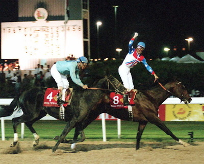 米国の伝説的競走馬シガーが死去、24歳