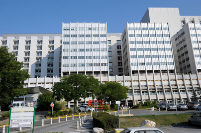 仏アルプスの村の銃撃事件、狙われたのはイラク系英国人家族