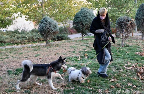 犬や猫は危険な動物 イランのペット禁止法案に批判と冷笑 写真11枚 ファッション ニュースならmode Press Powered By Afpbb News