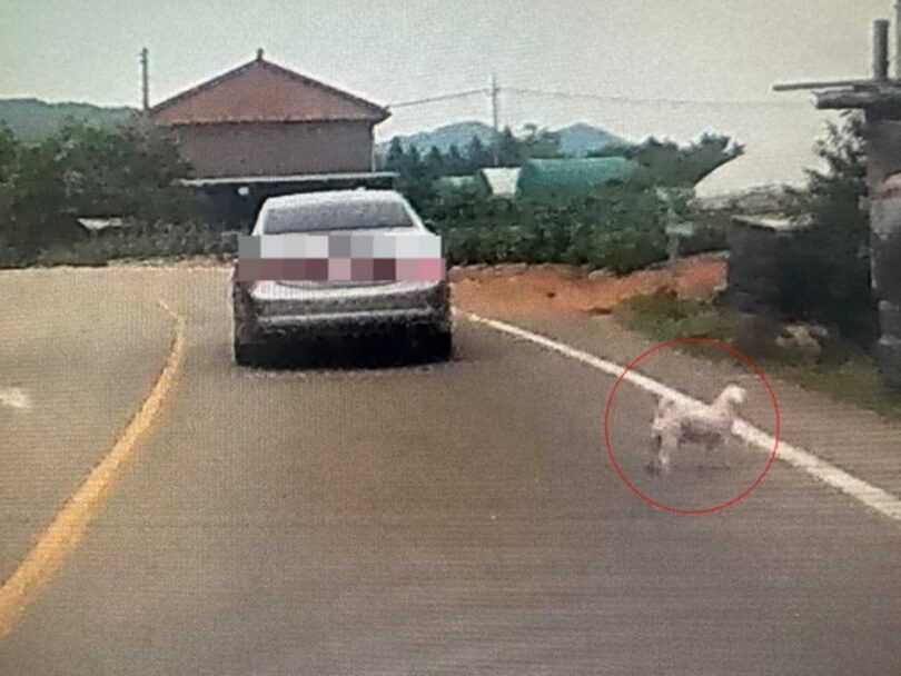 オンラインコミュニティのキャプチャー(c)MONEYTODAY