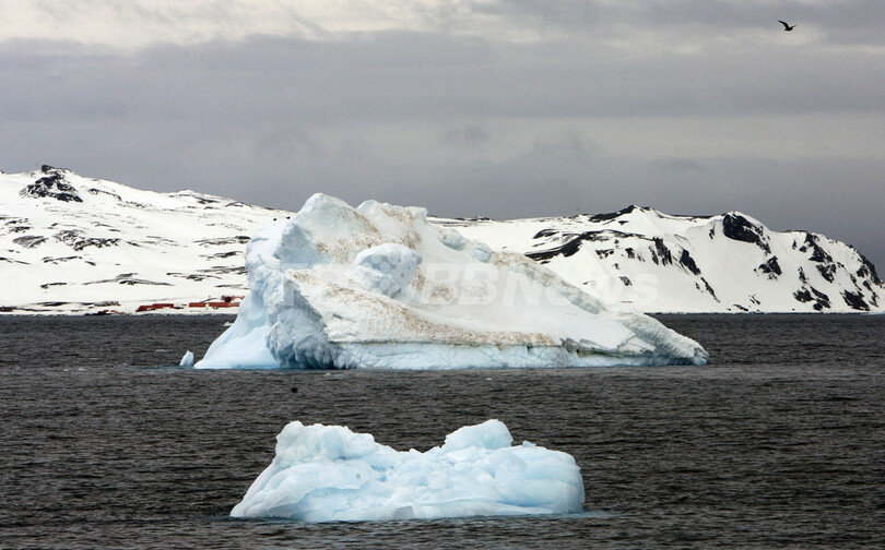 酷寒の南極大陸でペンギンが散歩