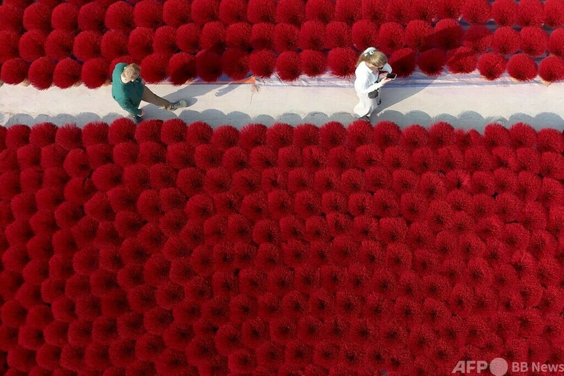 【今日の1枚】「映える」線香の赤 ベトナム