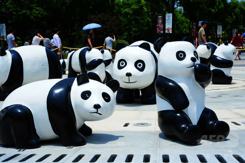 「パンダ」で環境保護呼びかけ、上海